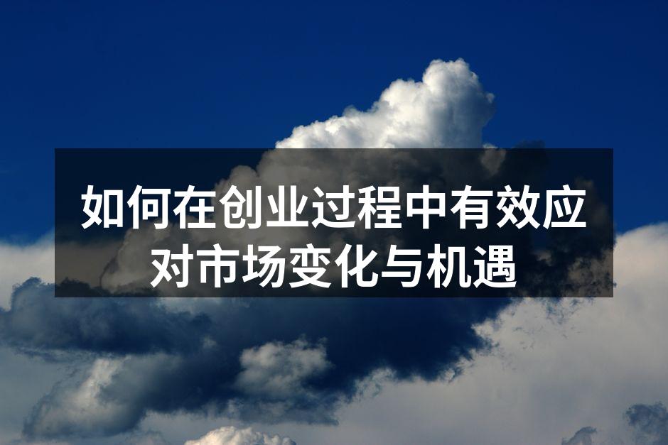 如何在创业过程中有效应对市场变化与机遇