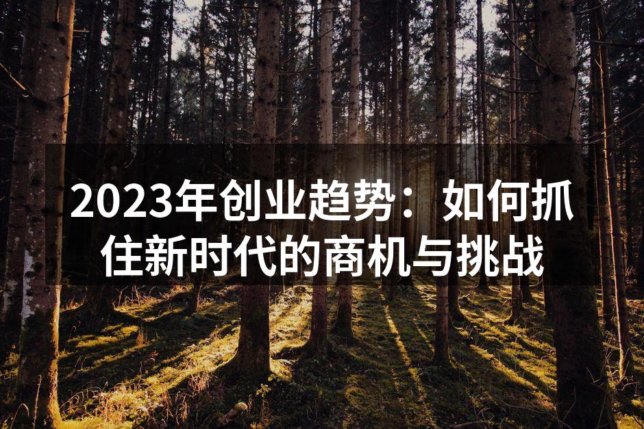 2023年创业趋势：如何抓住新时代的商机与挑战